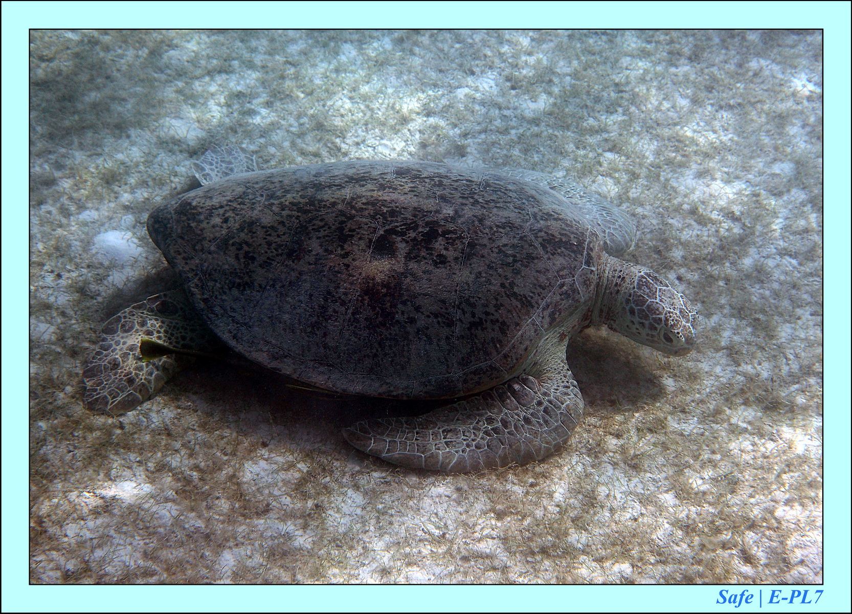 2016 - 07 - Leng Tengah - 080